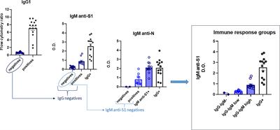 Diversity of immune responses in children highly exposed to SARS-CoV-2